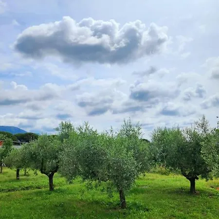 Villa La Casa Di Simone Torre Tre Ponti Exterior foto