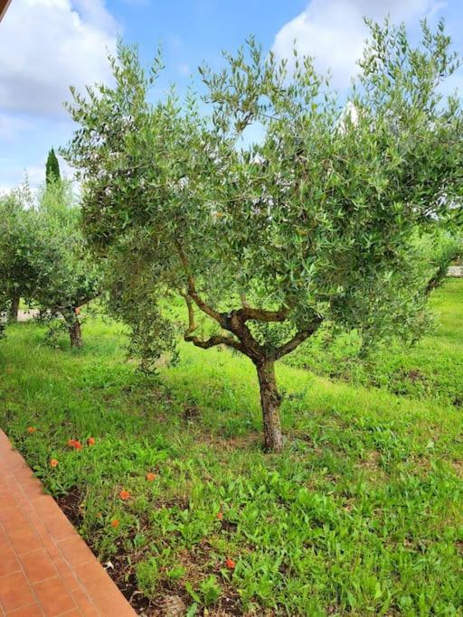 La Casa Di Simone *